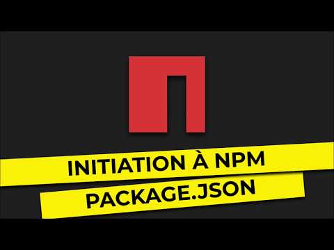 NPM Initiation Package json 2 10