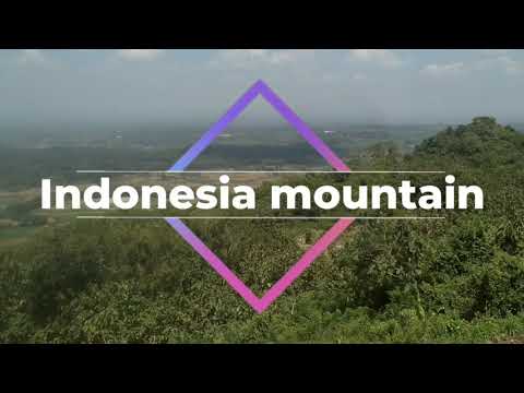 [bonsai diary]  #2 yamadori Kaliage