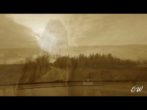 Searching for a Memory (Official Music Video) #singersongwriter #americana #countrymusic