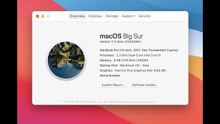 macOS Big Sur/Monterey - How to Open Unidentified Developer Apps & Allow Downloads From Anywhere