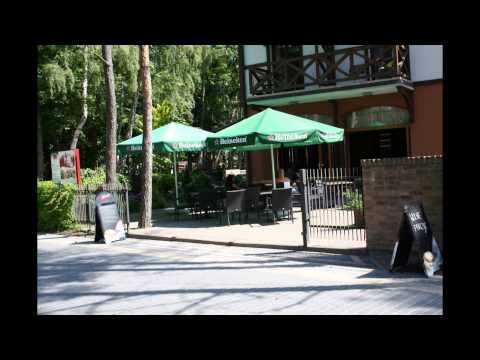 Willa GRYF i okolice