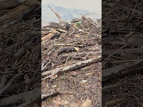 CHUVA INTENSA NO SUL DE GOIÁS. #caldasnovas #paisagemnatural #pescaria #naturezasurpreendente