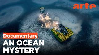 Cap Corse: The Mystery of the Rings | ARTE.tv Documentary