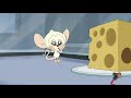 Animaniacs Reboot La Razón De Por Qué Cerebro Quiere Conquistar El Mundo HD Español Latino