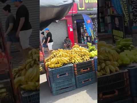Feira de Paracuru Ceará #comédia