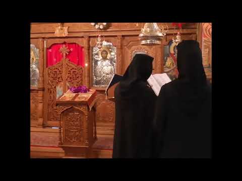 20191124 NICOLAE BALASOIU – DREGATORUL BOGAT PAZIREA PORUNCILOR