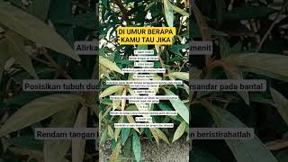 Download lagu DI UMUR BERAPA KAMUTAU JIKA mp3 Download lagu DI UMUR BERAPA KAMUTAU JIKA mp3