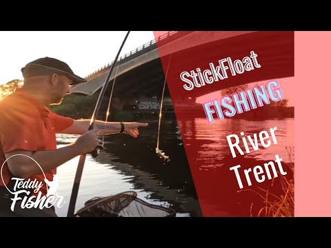 River Trent Part 1 - Stick Float Fishing #CoarseFishing