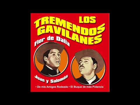 Los Tremendos Gavilanes - Flor de Dalia (Disco Completo)
