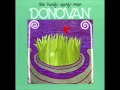 Donovan - A Sunny Day