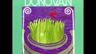 Donovan - A Sunny Day