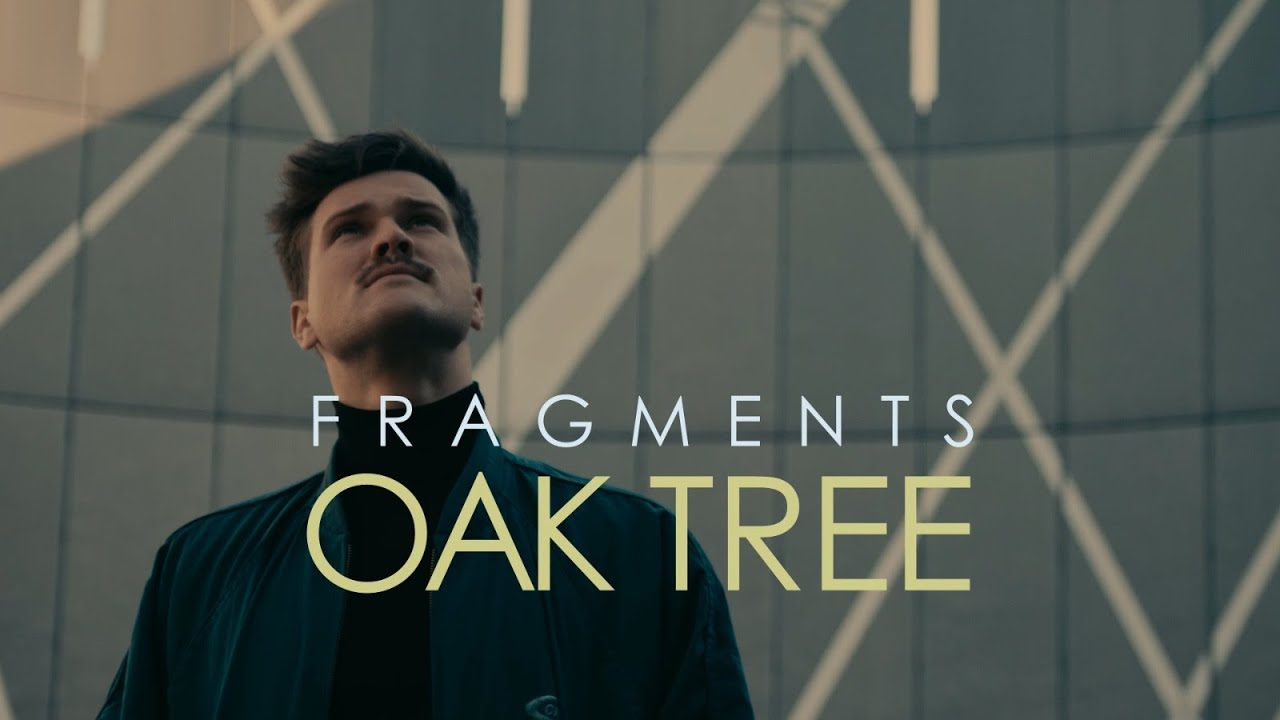 FRAGMENTS - Oak Tree