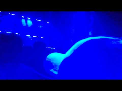 Hector Couto b2b Mathias Kaden - MOTION 2019 Perú 👽👽