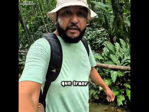 este es el grandioso PARQUE NACIONAL LAS VICTORIAS COBÁN ALTA VERAPAZ