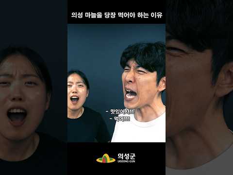 의성 마늘을 당장 먹어야 하는 이유