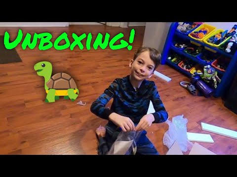 LaBrinx Designs Turtle Basking Platform Unboxing