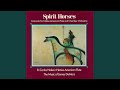 Spirit Horses