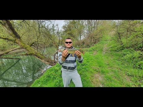 Pecanje štuke na Sani sa drugarom.