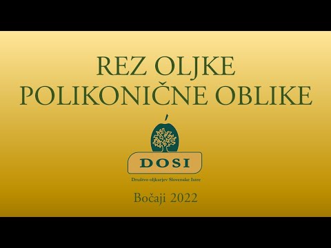 Rez oljke polikonične oblike