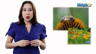 Learn Biology: Community Ecology- Interspecific Interactions