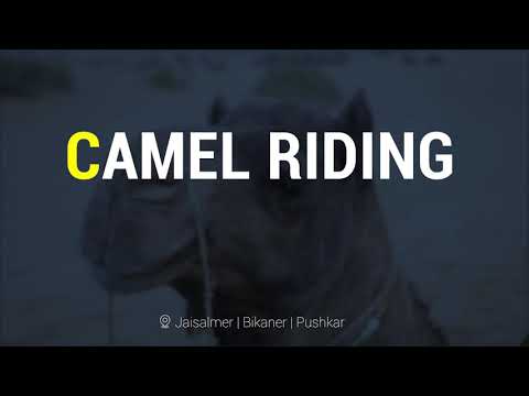 A Shot of Adrenaline in Rajasthan