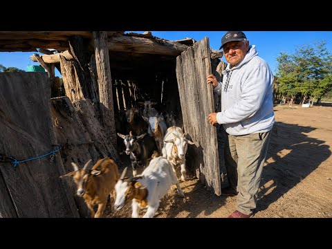 Así es VIVIR en el MEDIO del MONTE | sacrificio y HONOR| Quimilí - Santiago del Estero
