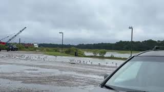 Look at this weather for today in Beaufort South Carolina