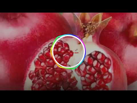 download lagu mp3 mp4 Malgudi Days Ringtone Ta Na Na Free, download lagu Malgudi Days Ringtone Ta Na Na Free gratis, unduh video klip Download Malgudi Days Ringtone Ta Na Na Free Mp3 dan Mp4 Music Gratis