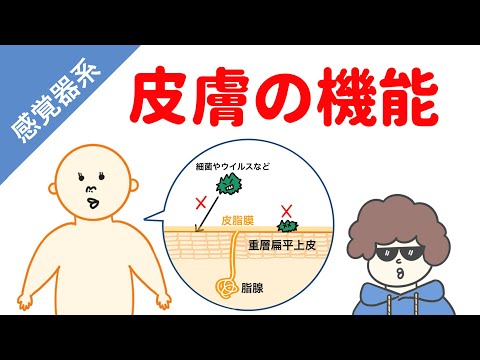 アクチノプテリギについて詳しく解説