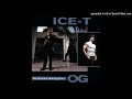 Ice-T - Straight Up Nigga (Ft DJ Aladdin)