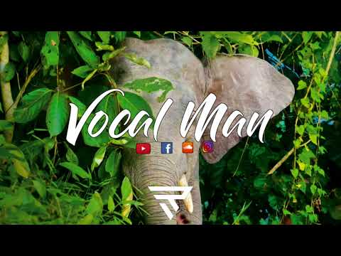 BRENDA FASSI FT DJ TEEK Vulinda REMIX 2022