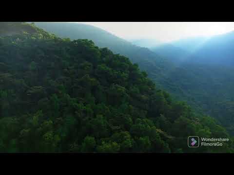 peace for mind 2022 04 24 1650787966987