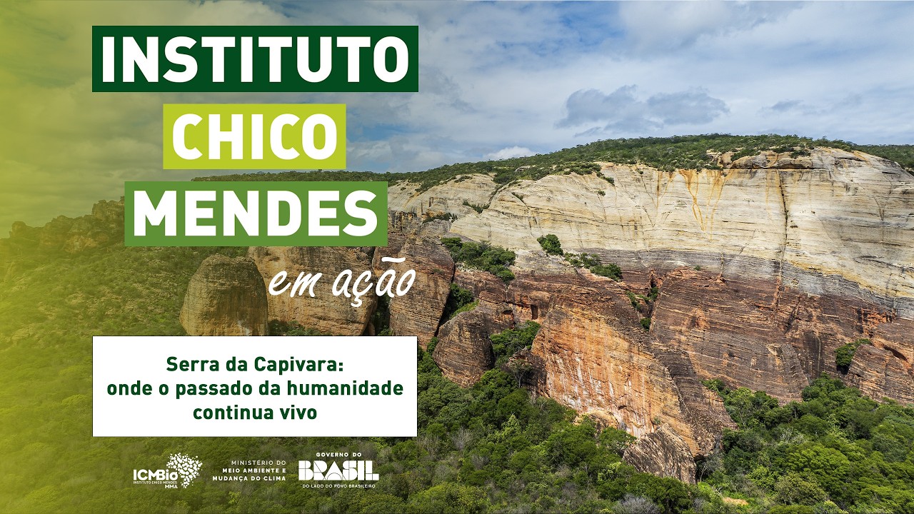 Serra da Capivara: onde o passado da humanidade continua vivo