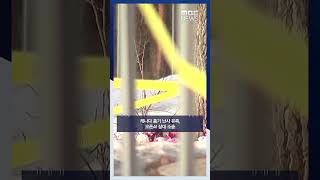 캐나다 총기 난사 유족, 오픈AI 상대 소송 #Shorts (MBC뉴스)