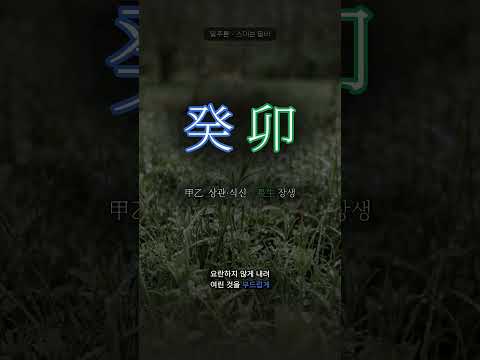새싹을 적시는 봄비 | 계묘(癸卯) 일주