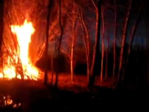 Julee Cruise - The Fire In Me + autumn bonfires