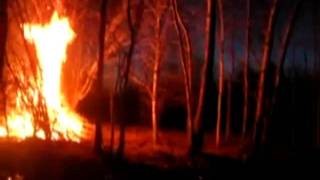 Julee Cruise - The Fire In Me + autumn bonfires