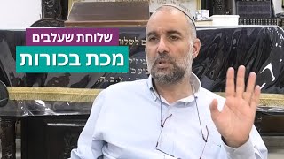 הרב אמיר שרון - מה באמת קרה בחצות הלילה ביציאת מצרים? התשפ"ה (ישיבת שעלבים) - התמונה מוצגת ישירות מתוך אתר האינטרנט יוטיוב. זכויות היוצרים בתמונה שייכות ליוצרה. קישור קרדיט למקור התוכן נמצא בתוך דף הסרטון הרב אמיר שרון - מה באמת קרה בחצות הלילה ביציאת מצרים? התשפ"ה (ישיבת שעלבים) - התמונה מוצגת ישירות מתוך אתר האינטרנט יוטיוב. זכויות היוצרים בתמונה שייכות ליוצרה. קישור קרדיט למקור התוכן נמצא בתוך דף הסרטון