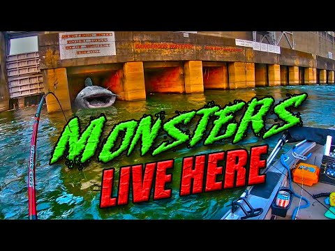 Still Hunting Volkswagen sized Catfish at the Dam | Wild Day at the Spill Gates