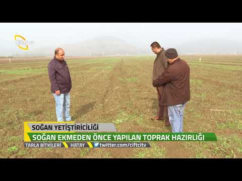 , title : 'Tarla Bitkiler - Soğan Yetiştiriciliğinde  Ekim Teknikleri .'