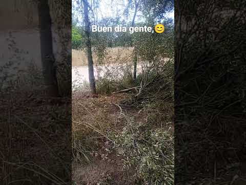 frías Santiago del estero 😊