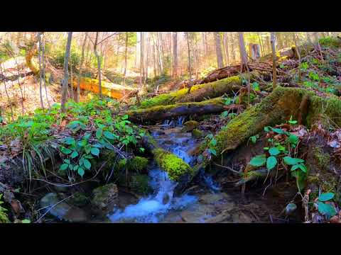 beautifulwaterfall 2022 pls watch this video for relaxing mood #natures with pratima