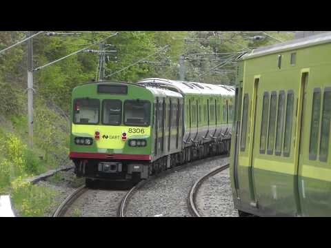 Rare movements on Irish Rail 2019 including train failure, transfers and driver training