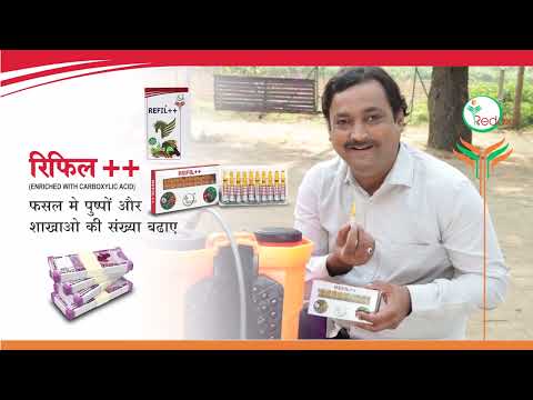 Liquid refill ++ flowering stimulant, ampouls, packaging siz...