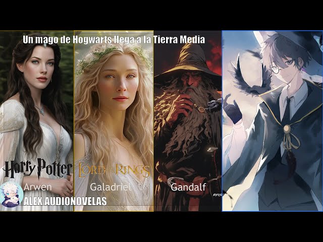 Vídeo relacionado con You Shall Not Pass Fantasy Wizard Art- EL SEÑOR DE LOS ANILLOS Manga Larga