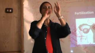 Obstetrics - Dr.Nadine Alaa - Physiology (1)
