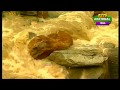 DA WATAN ZAMA WATAN HKULE SAAZ AO NAZARE PTV NATIONAL TIMES