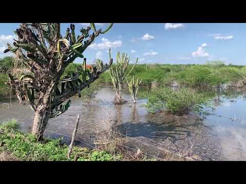 TANQUES CHEIOS APÓS AS PRIMEIRAS CHUVAS NA REGIÃO DE CAPIM GROSSO - BA