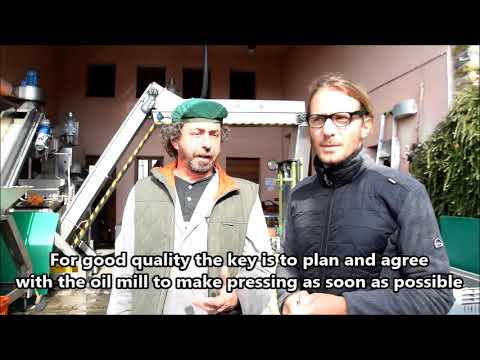 download lagu mp3 mp4 Olive Oil Conversion, download lagu Olive Oil Conversion gratis, unduh video klip Olive Oil Conversion