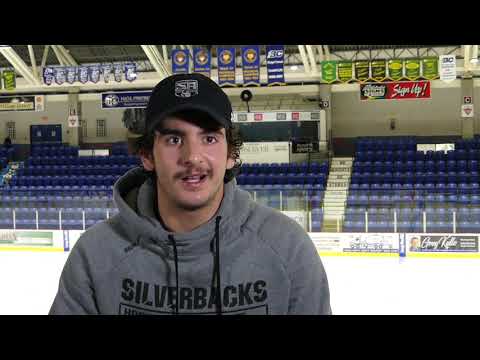 Meet the Silverbacks - Julian Recine